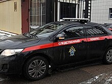 Завершено следствие по делу «хабаровских живодерок»