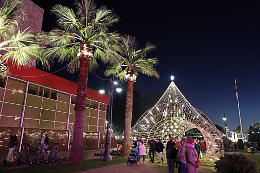 Стало известно, как Сочи украсят к Новому году-2026