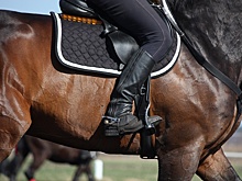 СК проверит на хулиганство всадников, напавших на пенсионеров в Кисловодске