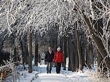 В Самаре появятся новая аллея и сквер