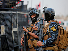 Стало известно число наказанных Ираком за причастность к ИГ россиян