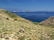 Россиянам объяснили, как дешево слетать в Крым