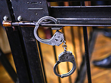 Главу комитета мэрии Новосибирска приговорили к 5 годам колонии за взятку