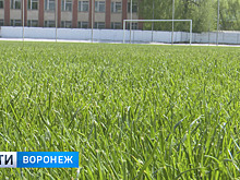 Стало известно, кто и когда посмотрит открытую тренировку сборной Марокко