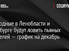 ГИБДД Самарской области 8 декабря начинает рейд на дорогах
