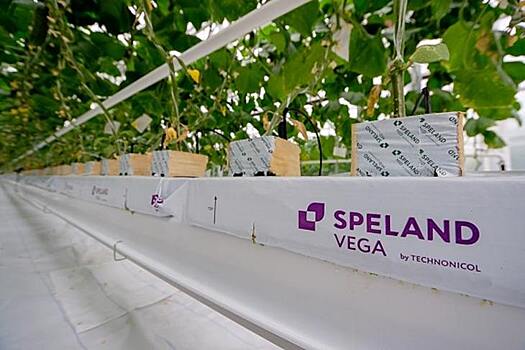 ТЕХНОНИКОЛЬ запускает новое производство субстратов в Ростовской области