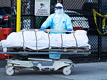 Соединенным Штатам предсказали более 200 тыс. жертв COVID-19 к октябрю