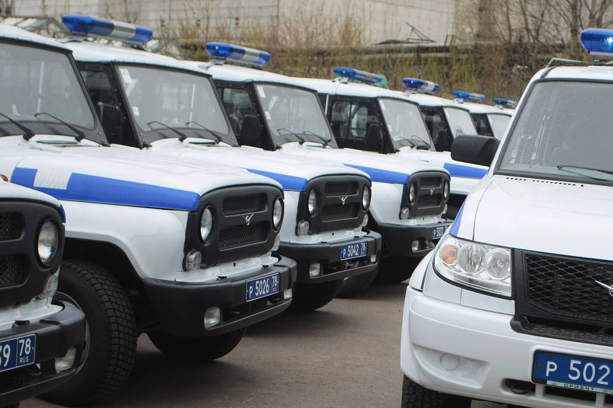 В Подмосковье задержали напавшего на семилетнюю девочку