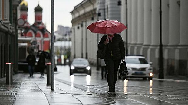 Синоптики предупредили москвичей о дождях с мокрым снегом