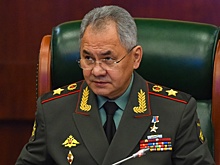 Шойгу доложил Путину о бое у Урожайного в ДНР