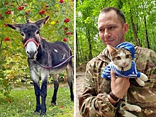 Как в зоне СВО бойцы и животные спасают друг друга