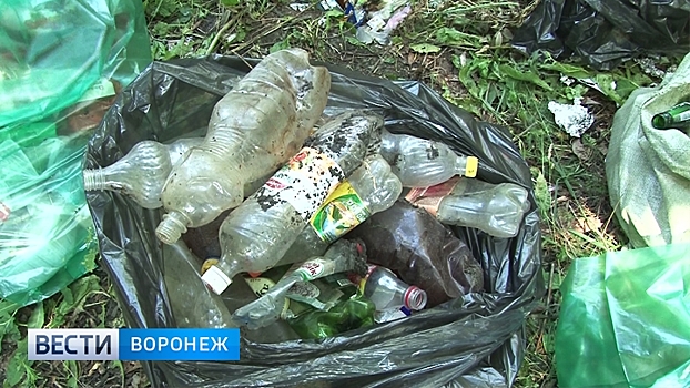 В рамках акции «Воды России» жители Калача собрали у водоёмов более 100 мешков отходов