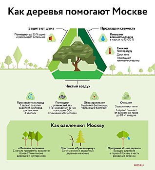 За 10 лет в Москве высадили 800 тысяч деревьев и 8,5 миллиона кустарников