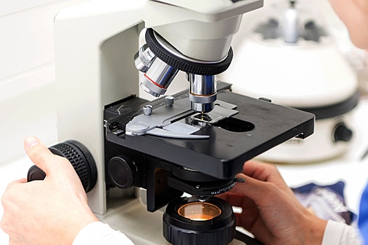 Впервые в мире ДНК льва помогла осудить браконьеров