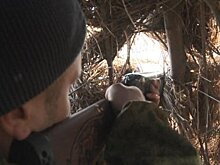 В регионе открывается весенняя охота на пернатых