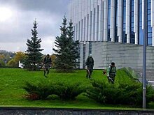 Газоны на Юбилейной площади привели в порядок перед инаугурацией