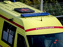 Глава Росздравнадзора Москвы спас стюардессу во время полета
