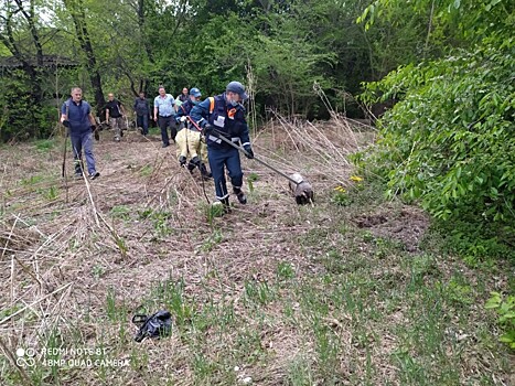 В Благовещенске спасатели искали барсука, совершившего дерзкий побег — фото