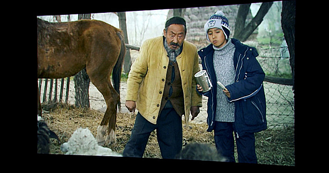 Проект «Дни казахского кино» показал российским телезрителям пять современных картин о Казахстане