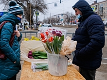 Рейды «Первоцветы» нарушений в Волгоградской области не выявили