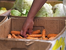 ФАС проанализирует справедливость наценок на базовые продукты