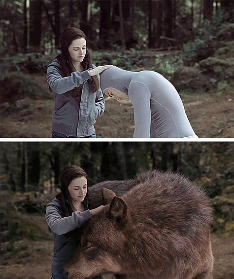В фильме "Сумерки: Рассвет" Белла стоит рядом с Джейкобом-волком и гладит его. На самом деле она гладит актера, а волк был "наложен" потом.