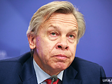 Сенатор Пушков наградил пермских детей за спасение утопающих