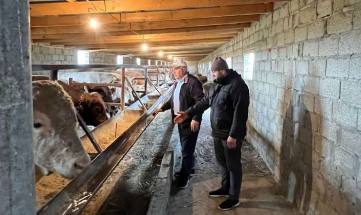 Фермерский сектор в животноводстве Дагестана стремительно набирает обороты