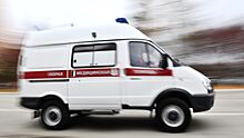 В Республике Алтай при опрокидывании грузовика пострадали семь человек