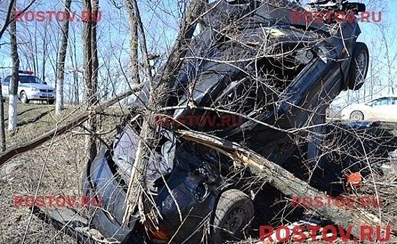 Машина повисла на дереве в результате ДТП в Ростовской области