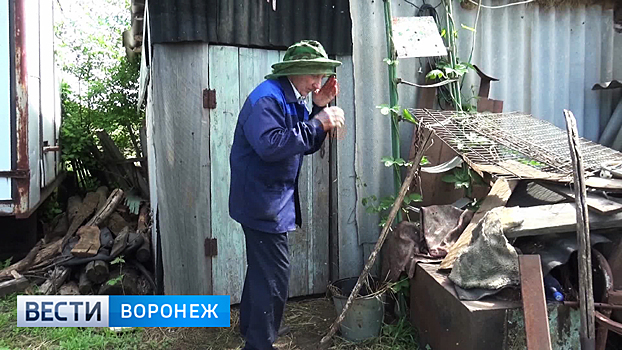 Жители Воронежской области просят объявить ЧС из-за нашествия комаров