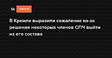 В Кремле выразили сожаление из-за решения нескольких правозащитников уйти из СПЧ