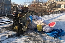 В городе России сожгли символ года за 670 тысяч рублей