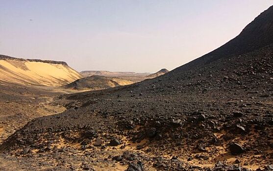 Археологи нашли наскальные рисунки в иорданской Черной пустыне