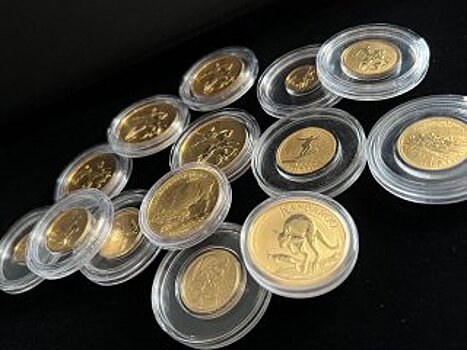 Инвестиции в золотые монеты: как заработать на драгоценных металлах, доступных каждому