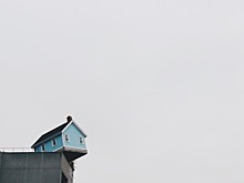 В Госдуме хотят извещать покупателя квартиры об аварийности дома