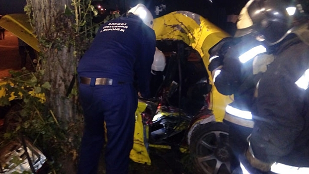 В Воронеже Toyota влетела в дерево: пострадали три человека