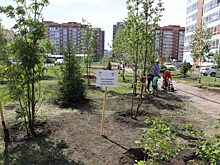 РУСАЛ поделился опытом развития эковолонтерства в Красноярске