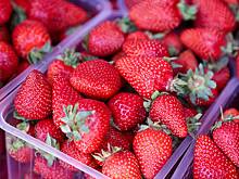 Незнакомцы в костюмах Робина Гуда стали воровать еду и раздавать ее прохожим