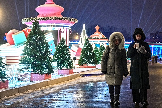 Собянин: Москва приготовила новогоднюю программу для семей участников СВО