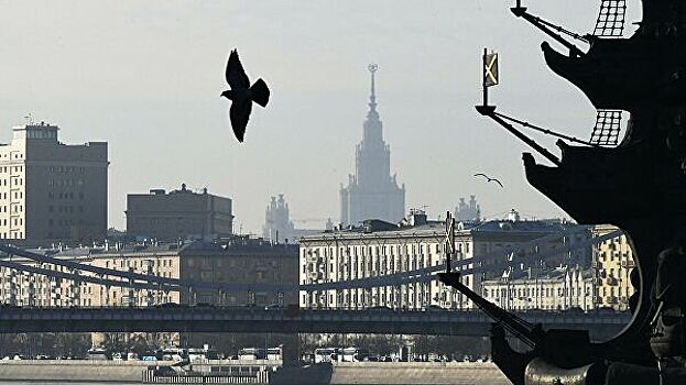 В московской квартире нашли полосатую змею