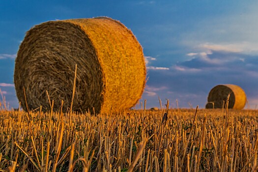 Более 270 работников сельхозпредприятий Нижегородской области получили господдержку в 2023 году