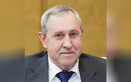 Госдума отдала следователям соавтора закона о бесплатном сборе валежника