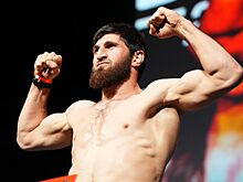 UFC 313, полный кард участников, дата и время, где смотреть онлайн бесплатно, трансляция