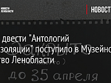 Почти двести "Антологий самоизоляции" поступило в Музейное агенство Ленобласти