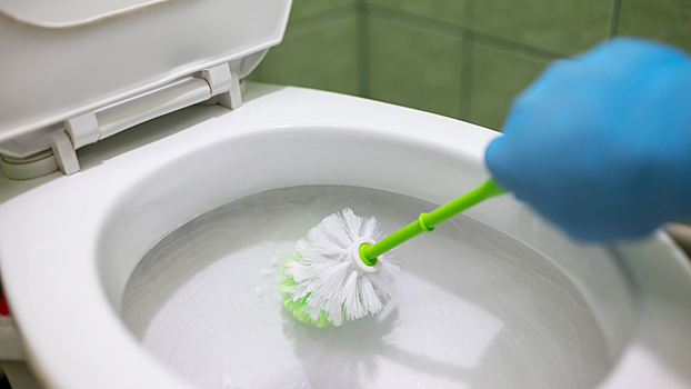 6 шагов к идеальному блеску унитаза: пошаговая инструкция