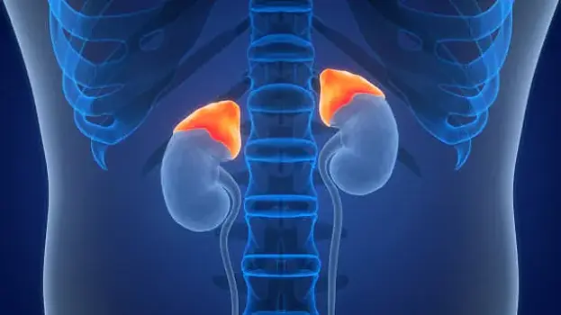 Эндокринолог рассказал, что такое синдром надпочечников