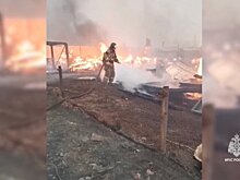 Пожар в СНТ "Алюминщик" Иркутской области ликвидировали