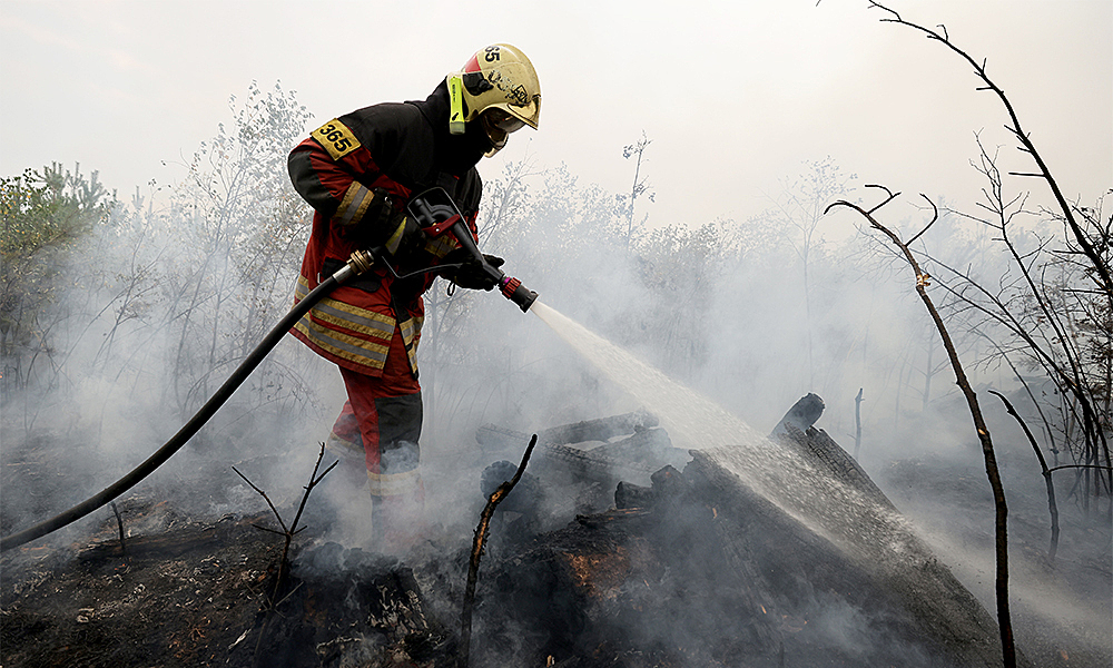 Источник: новые очаги пожаров в Рязанской области имеют признаки поджогов