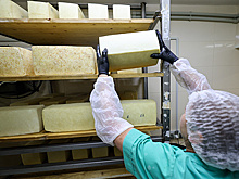 Свыше 400 бизнесменов из Кабардино-Балкарии получили гарантийную поддержку по нацпроекту